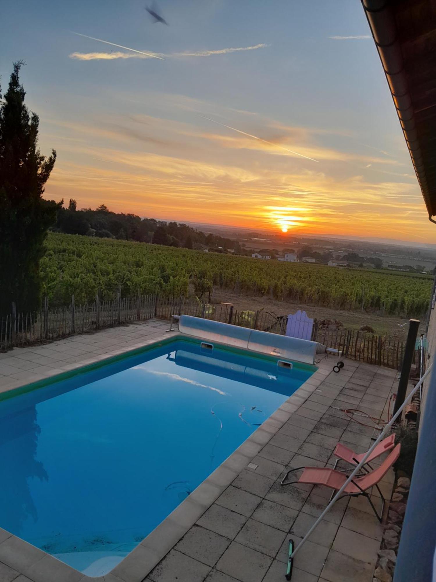 La Cote Des Blancs - Domaine Viticole & Maison D'Hotes Vinzelles Eksteriør bilde
