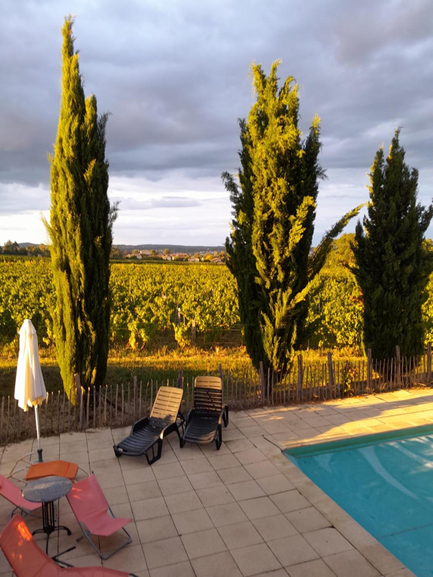 La Cote Des Blancs - Domaine Viticole & Maison D'Hotes Vinzelles Eksteriør bilde